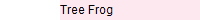 Tree Frog