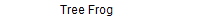 Tree Frog