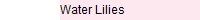 Water Lilies